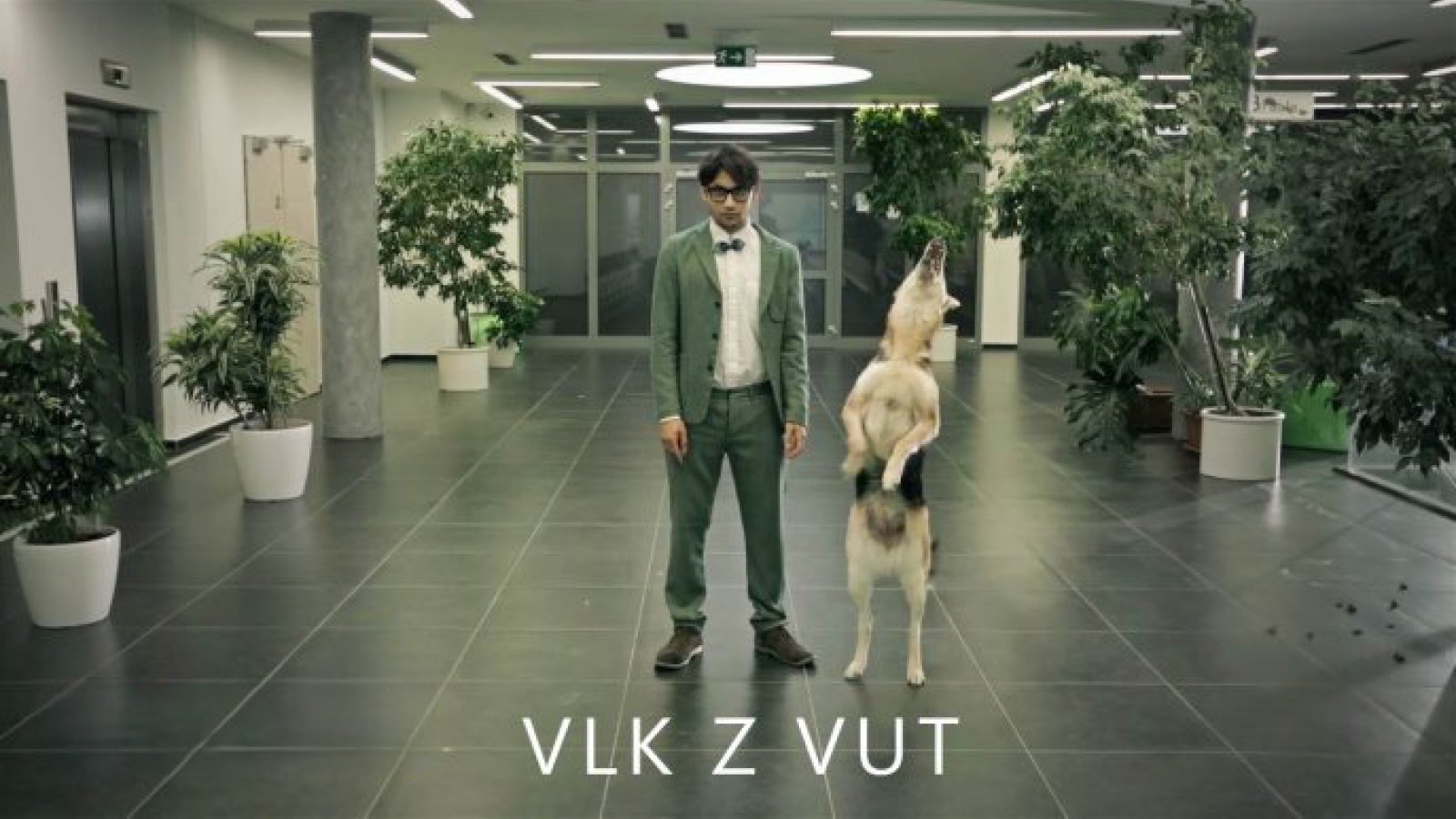 Legendární kampaň Vlk z VUT převrátila marketing naruby